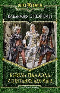 Испытания для мага - Снежкин Владимир (читать книги без сокращений .TXT) 📗