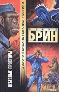 Небесные просторы - Брин Дэвид (читать книги онлайн без .txt) 📗