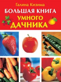 Большая книга умного дачника - Кизима Галина Александровна (книга регистрации .txt) 📗