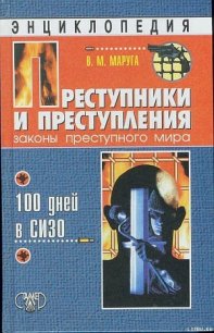 Преступники и преступления. Законы преступного мира. 100 дней в СИЗО - Маруга Валерий Михайлович (читать онлайн полную книгу .TXT) 📗