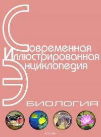 Энциклопедия «Биология» (без иллюстраций) - Горкин Александр Павлович (читать книги онлайн бесплатно серию книг .TXT) 📗