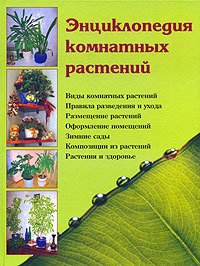 Энциклопедия комнатных растений - Логачева Наталья Ивановна (читаем книги txt) 📗