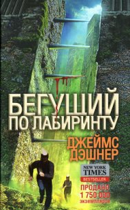 Бегущий по лабиринту - Дашнер (Дэшнер) Джеймс (читаем полную версию книг бесплатно .txt) 📗