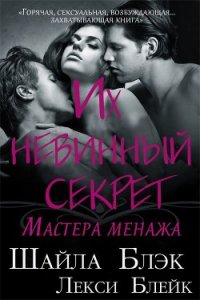 Их невинный секрет (ЛП) - Блэк Шайла (первая книга txt) 📗