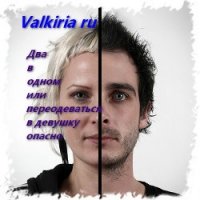 Два в одном, или переодеваться в девушку опасно (СИ) - "Valkiria Ru" (смотреть онлайн бесплатно книга .txt) 📗