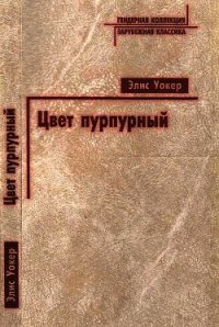 Цвет пурпурный - Уокер Элис (книги без регистрации бесплатно полностью TXT) 📗