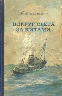 Вокруг света за китами - Зенкович Борис Александрович (лучшие книги читать онлайн бесплатно без регистрации .TXT) 📗