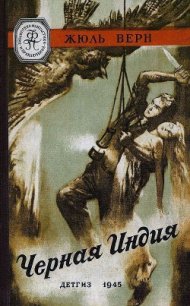 Черная Индия (илл. В. Ермолова) - Верн Жюль Габриэль (читаем книги онлайн бесплатно полностью .TXT) 📗