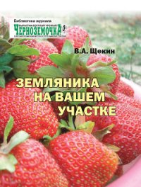 Земляника на вашем участке - Щекин Владимир Алексеевич (читать книги полностью без сокращений TXT) 📗