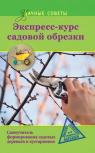 Экспресс-курс садовой обрезки - Окунева Ирина Борисовна (бесплатные книги онлайн без регистрации .TXT) 📗