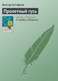 Пролетный гусь - Астафьев Виктор Петрович (читать книги без регистрации полные .TXT) 📗