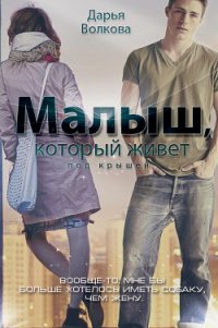 Малыш, который живет под крышей (СИ) - Волкова Дарья (библиотека книг TXT) 📗