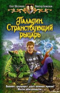 Паладин. Странствующий рыцарь - Шелонин Олег Александрович (книги онлайн txt) 📗