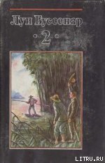 Охотники за каучуком - Буссенар Луи Анри (серии книг читать онлайн бесплатно полностью .txt) 📗