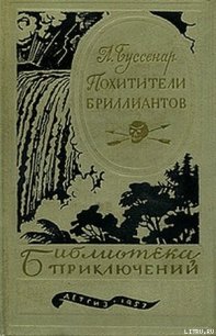 Похитители бриллиантов - Буссенар Луи Анри (лучшие книги читать онлайн бесплатно txt) 📗