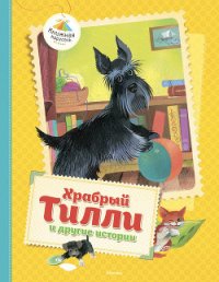 Храбрый Тилли и другие истории (сборник) - Ольгин Алексей (читать книги онлайн без сокращений .txt) 📗