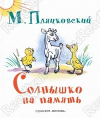 Солнышко на память - Пляцковский Михаил (бесплатная регистрация книга .TXT) 📗