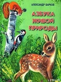 Беличий порядок - Барков Александр Сергеевич (книги серии онлайн .txt) 📗