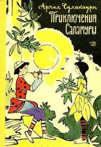 Приключения Саламуры - Сулакаури Арчил Самсонович (лучшие книги читать онлайн бесплатно без регистрации .TXT) 📗