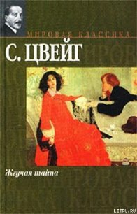 Жгучая тайна - Цвейг Стефан (хороший книги онлайн бесплатно .txt) 📗