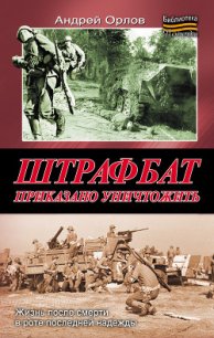 Штрафбат. Приказано уничтожить - Орлов Андрей Юрьевич (читаем книги онлайн бесплатно полностью без сокращений txt) 📗