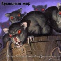 Крысиный мир (СИ) - Тимофеев (2) Михаил (книги регистрация онлайн бесплатно txt) 📗