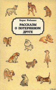 Рассказы о потерянном друге - Рябинин Борис Степанович (бесплатные онлайн книги читаем полные версии txt) 📗