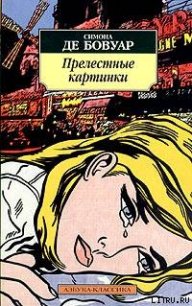 Прелестные картинки - де Бовуар Симона (читать хорошую книгу полностью .txt) 📗