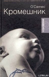 Кромешник - О'Санчес (Александр Чесноков) (читать книги онлайн бесплатно полностью без сокращений TXT) 📗