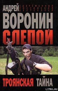 Троянская тайна - Воронин Андрей Николаевич (мир книг .TXT) 📗