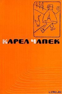 Дашенька, или история щенячьей жизни - Чапек Карел (книги онлайн полные версии txt) 📗