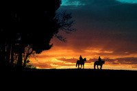 Разбойник (СИ) - "Ash Hunter" (лучшие книги .txt) 📗