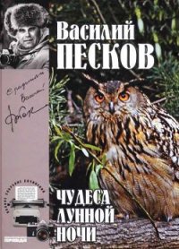 Полное собрание сочинений. Том 15. Чудеса лунной ночи - Песков Василий Михайлович (книги онлайн бесплатно серия TXT) 📗