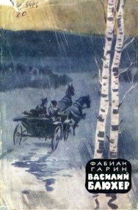 Василий Блюхер. Книга 1 - Гарин Фабиан Абрамович (книги серии онлайн .txt) 📗