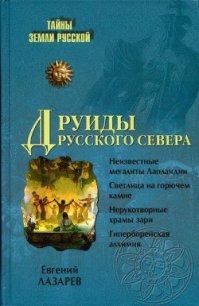 Друиды Русского Севера - Лазарев Евгений Сергеевич (электронные книги без регистрации txt) 📗