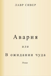 Авария или В ожидании чуда (ЛП) - Сивер Лавр (лучшие бесплатные книги txt) 📗