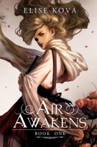 Air Awakens - Kova Elise (читать книги бесплатно полностью без регистрации сокращений .TXT) 📗