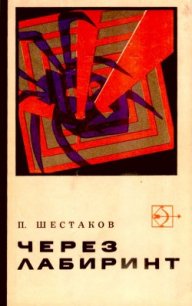 Через лабиринт. Два дня в Дагезане - Шестаков Павел Александрович (лучшие бесплатные книги .txt) 📗