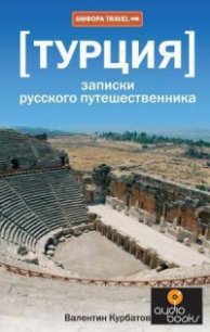 Турция. Записки русского путешественника - Курбатов Валентин Яковлевич (бесплатные книги полный формат txt) 📗