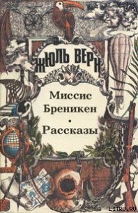 Мартин Пас - Верн Жюль Габриэль (книги бесплатно без .txt) 📗