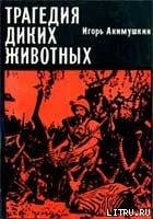 Трагедия диких животных - Акимушкин Игорь Иванович (читать книги бесплатно полностью .txt) 📗