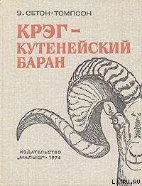 Крэг - кутенейский баран - Сетон-Томпсон Эрнест (читать книги онлайн бесплатно полностью без .TXT) 📗