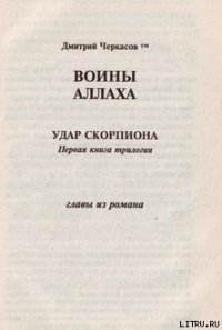 Воины аллаха. Удар скорпиона - Черкасов Дмитрий (книги онлайн читать бесплатно txt) 📗