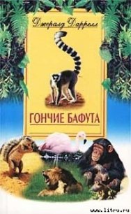 Гончие Бафута - Даррелл Джеральд (читаем бесплатно книги полностью txt) 📗