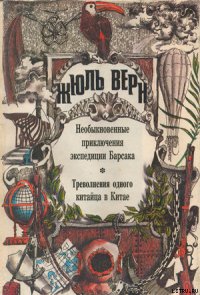 Треволнения одного китайца в Китае - Верн Жюль Габриэль (первая книга txt) 📗