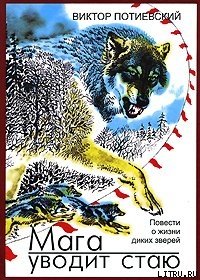 Мага уводит стаю - Потиевский Виктор Александрович (книги онлайн полностью TXT) 📗