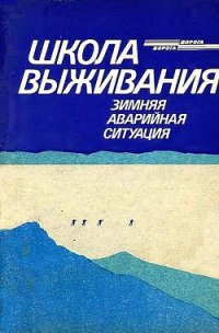 Школа выживания. Зимняя аварийная ситуация - Ильичев Андрей (книги онлайн бесплатно TXT) 📗