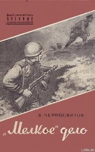 «Мелкое» дело - Черносвитов Владимир Михайлович (читать книги без .txt) 📗