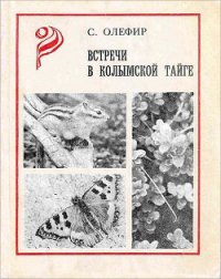 Встречи в Колымской тайге - Олефир Станислав Михайлович (лучшие книги читать онлайн .txt) 📗