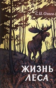 Жизнь леса - Огнев Сергей Иванович (читать книги онлайн бесплатно регистрация txt) 📗